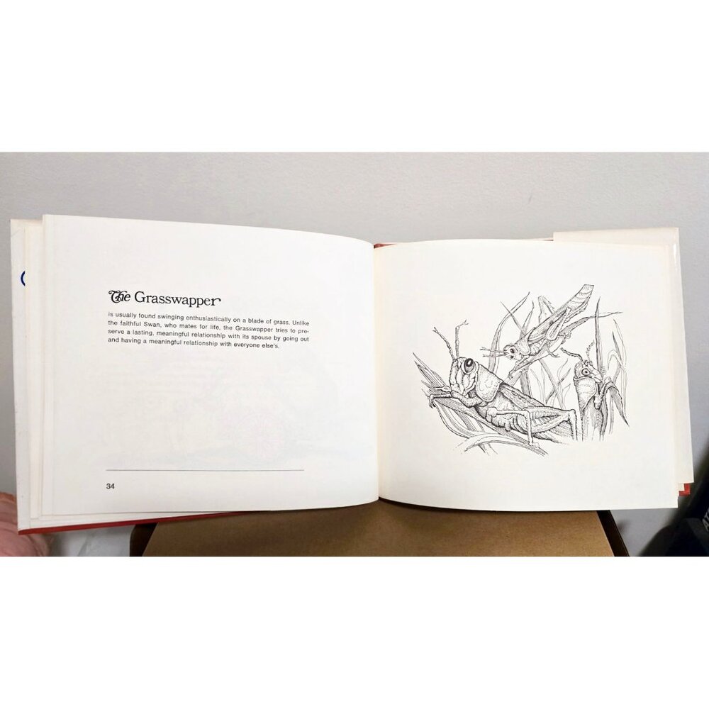The American Bestiary by Anne Folsom 1976 1st Edition HC DJ Vintage Humor 70s - Picture 8 of 9